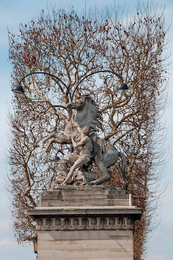 The Horse of Marly (Champs Elysées)